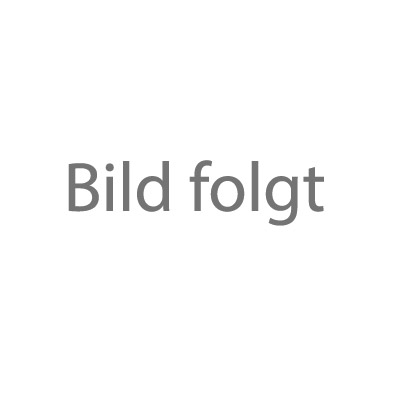 Bild-folgt-400